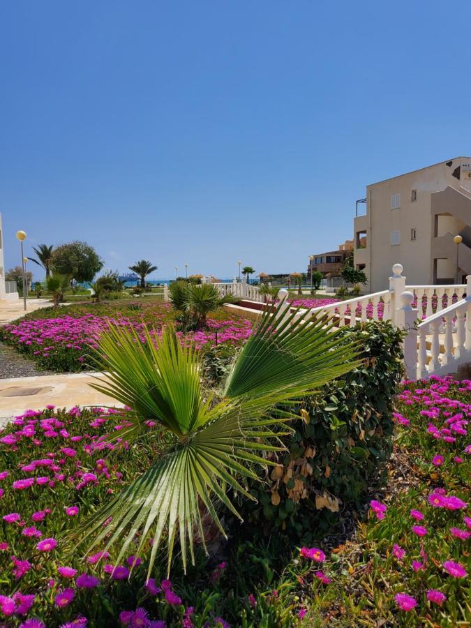 Casa Baja Naturista Con Patio En Primera Linea De Playa Con Piscina Comunitaria! Vera Zewnętrze zdjęcie