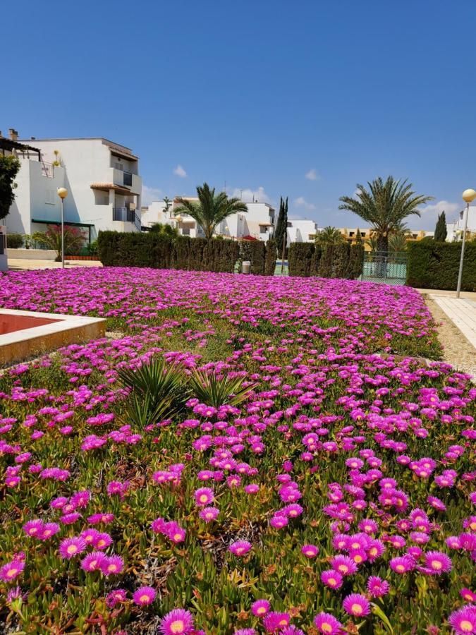 Casa Baja Naturista Con Patio En Primera Linea De Playa Con Piscina Comunitaria! Vera Zewnętrze zdjęcie